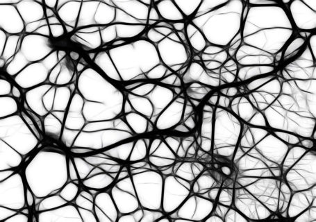 Was ist Neuromarketing?